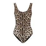 Dolce & Gabbana Leopard-print one-piece swimsuit