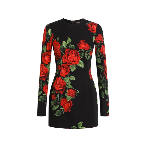 Dolce & Gabbana Rose-print charmeuse dress