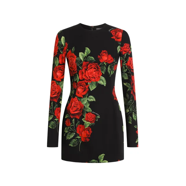 Dolce & Gabbana Rose-print charmeuse dress