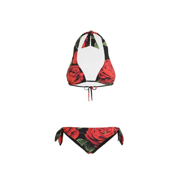 Dolce & Gabbana Rose-print triangle bikini