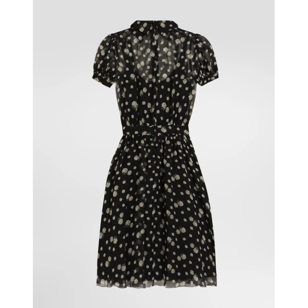 Dolce & Gabbana Small rose and polka dot-print chiffon dress, view 2