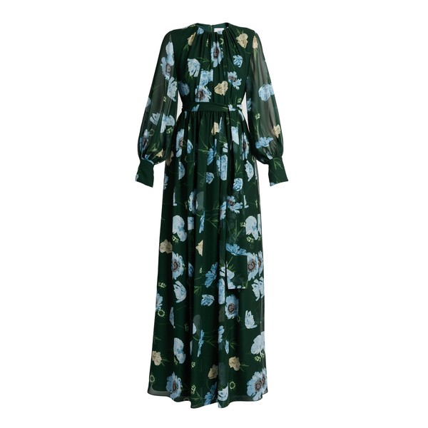 Erdem Floral Silk Voile Long Sleeve Gown