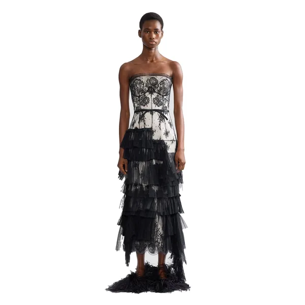 Erdem Pleated Lace Bustier Midi Dress, view 4