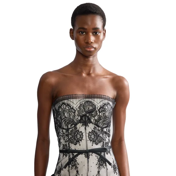 Erdem Pleated Lace Bustier Midi Dress, view 5