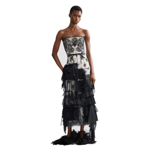Erdem Pleated Lace Bustier Midi Dress, view 6