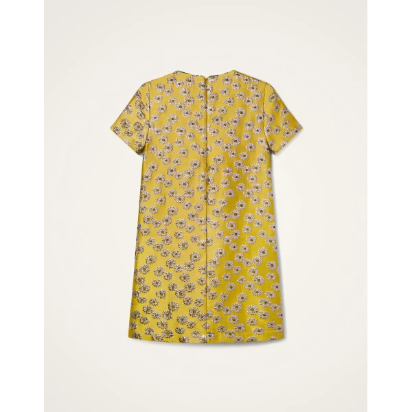 La Double J Mini Swing Dress in Margarita, view 6
