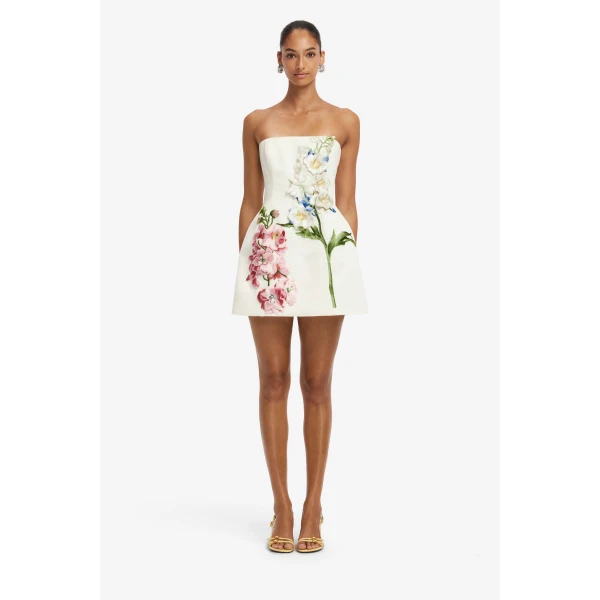 Leo Lin Roselle Embroidered Bustier Mini Dress in Snapdragon Print in Snow, view 2