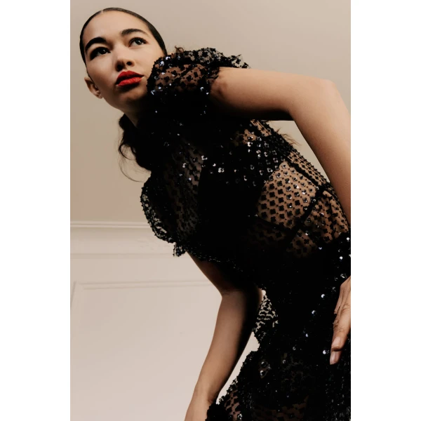 Macgraw Porcelain Dress in Black Sequin, view 6