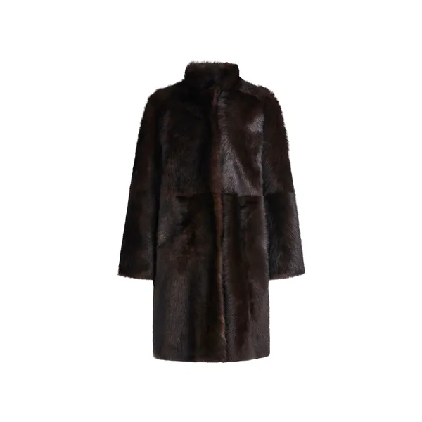 Blaise in Brown Sable
