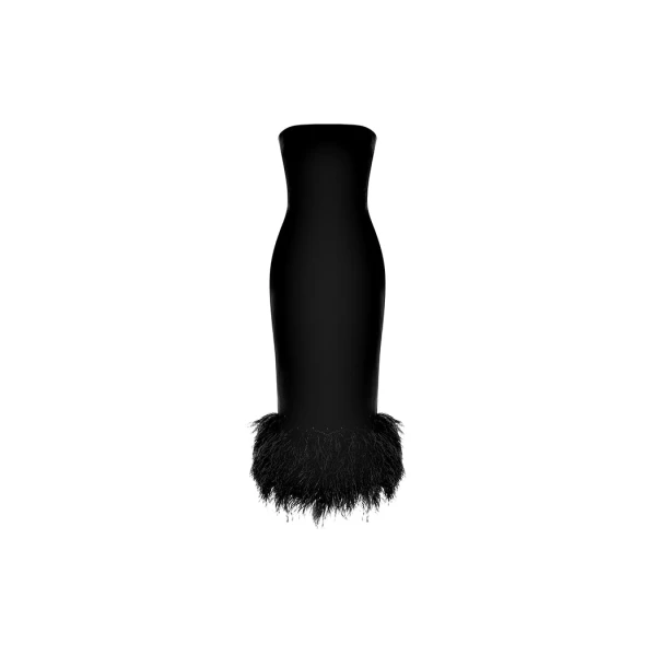 Rasario Corset crepe long midi dress with fringe in Black