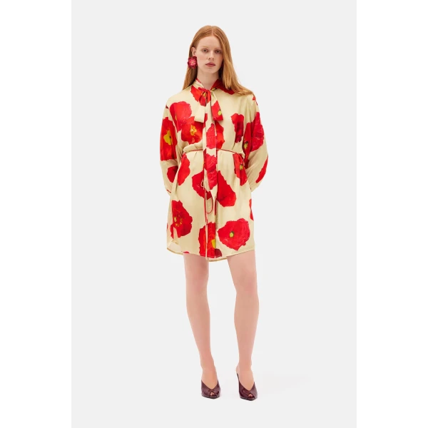 Romance Was Born Poppy Polka Satin Shirt Dress, view 4