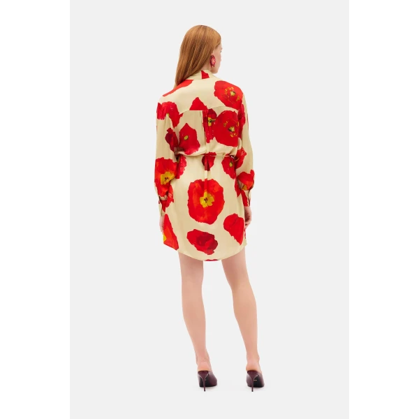 Romance Was Born Poppy Polka Satin Shirt Dress, view 6