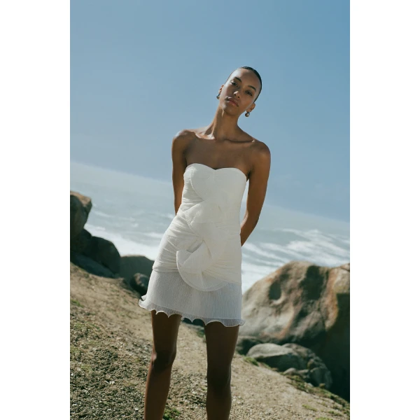 Shona Joy Federick Pleated Ruffle Mini Dress, view 3