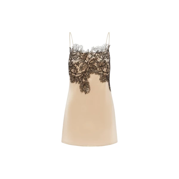 Shona Joy Lucia Lace Mini Dress in Champagne Lace