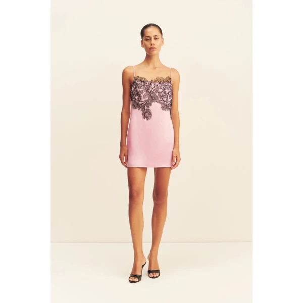 Shona Joy Lucia Lace Mini Dress in Fairyfloss Lace, view 2