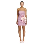 Acler Keble Mini Dress in Blushmuse