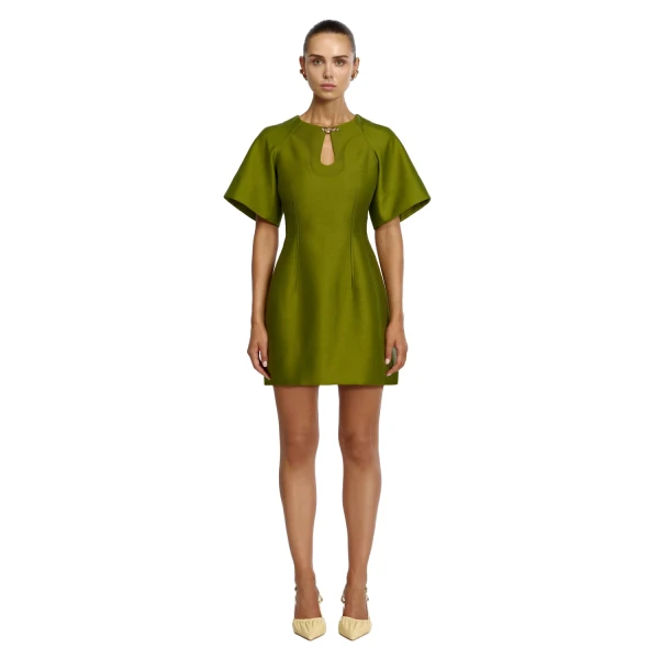 Picts Mini Dress in Cardamom