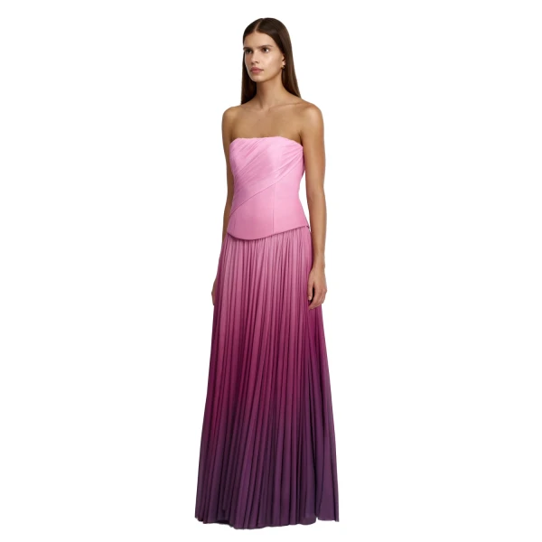 Acler Primley Maxi Dress in Bordeaux Haze, view 2