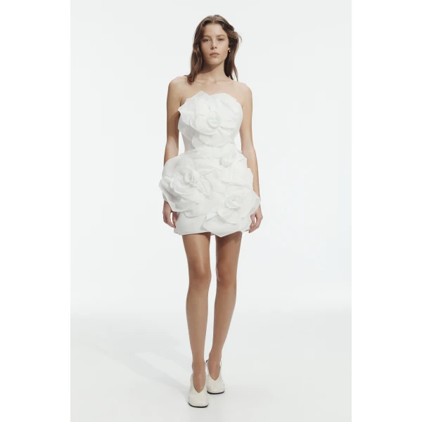 Aje dresses
