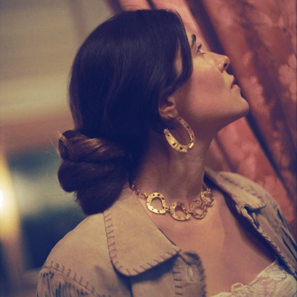 Golden Horseshoe Necklace - Image 2