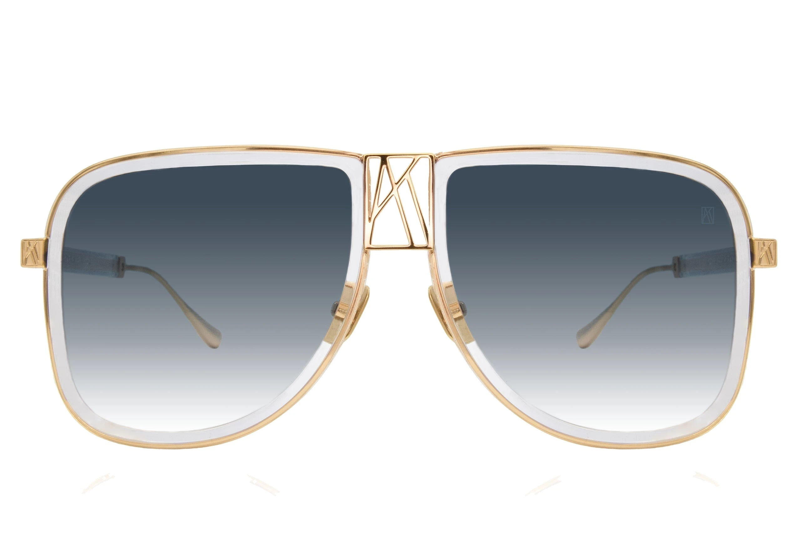 Logo Dude Sunglasses in Translucent