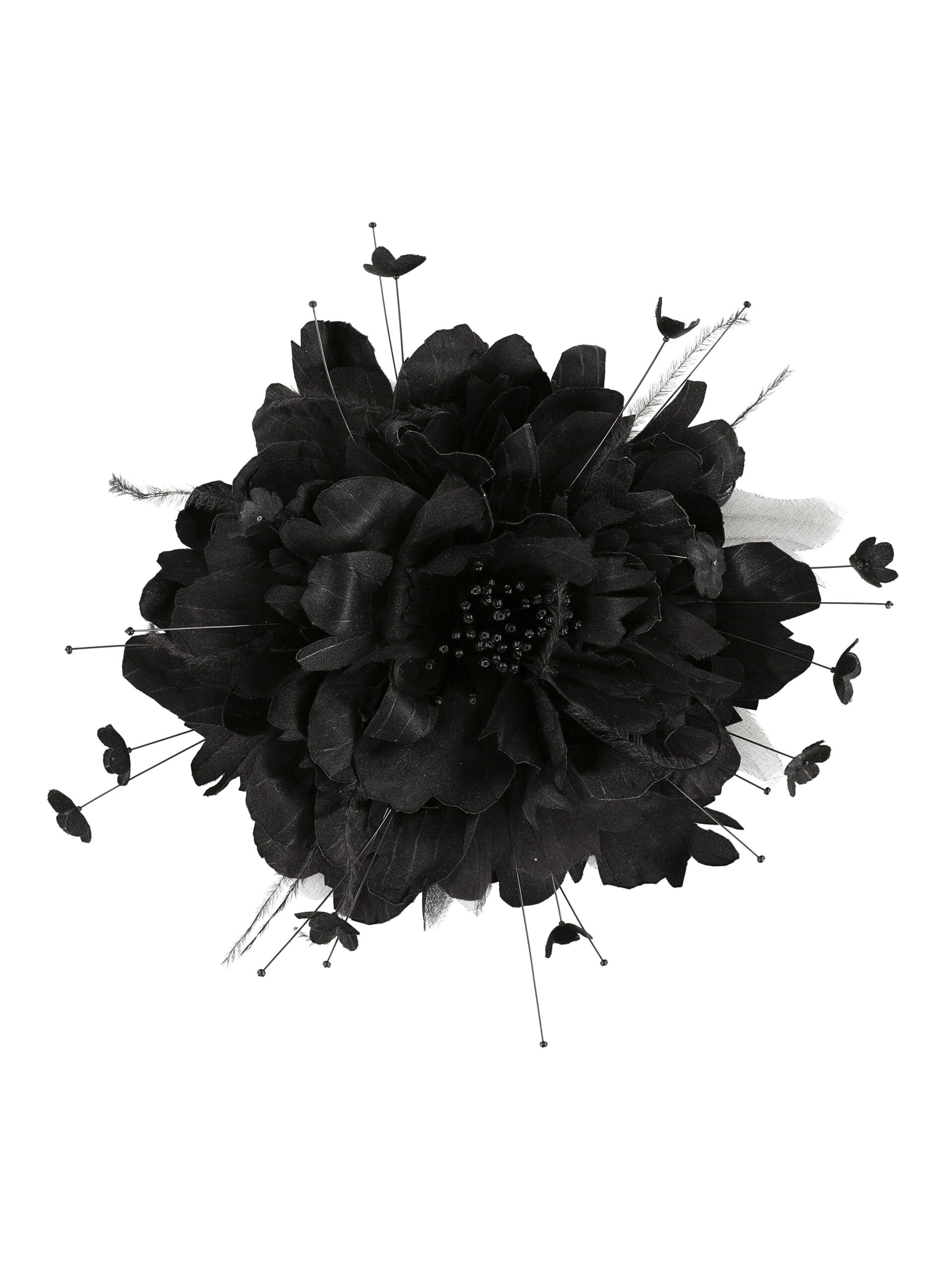 Bernadette Wild Rose Brooch in Black | Jewelry | Luxury Shoes Bernadette Wild Rose Brooch in Black | Jewelry | Luxury Shoes