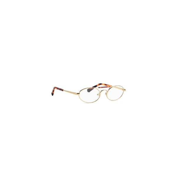 Oval glasses in Turtle Shell