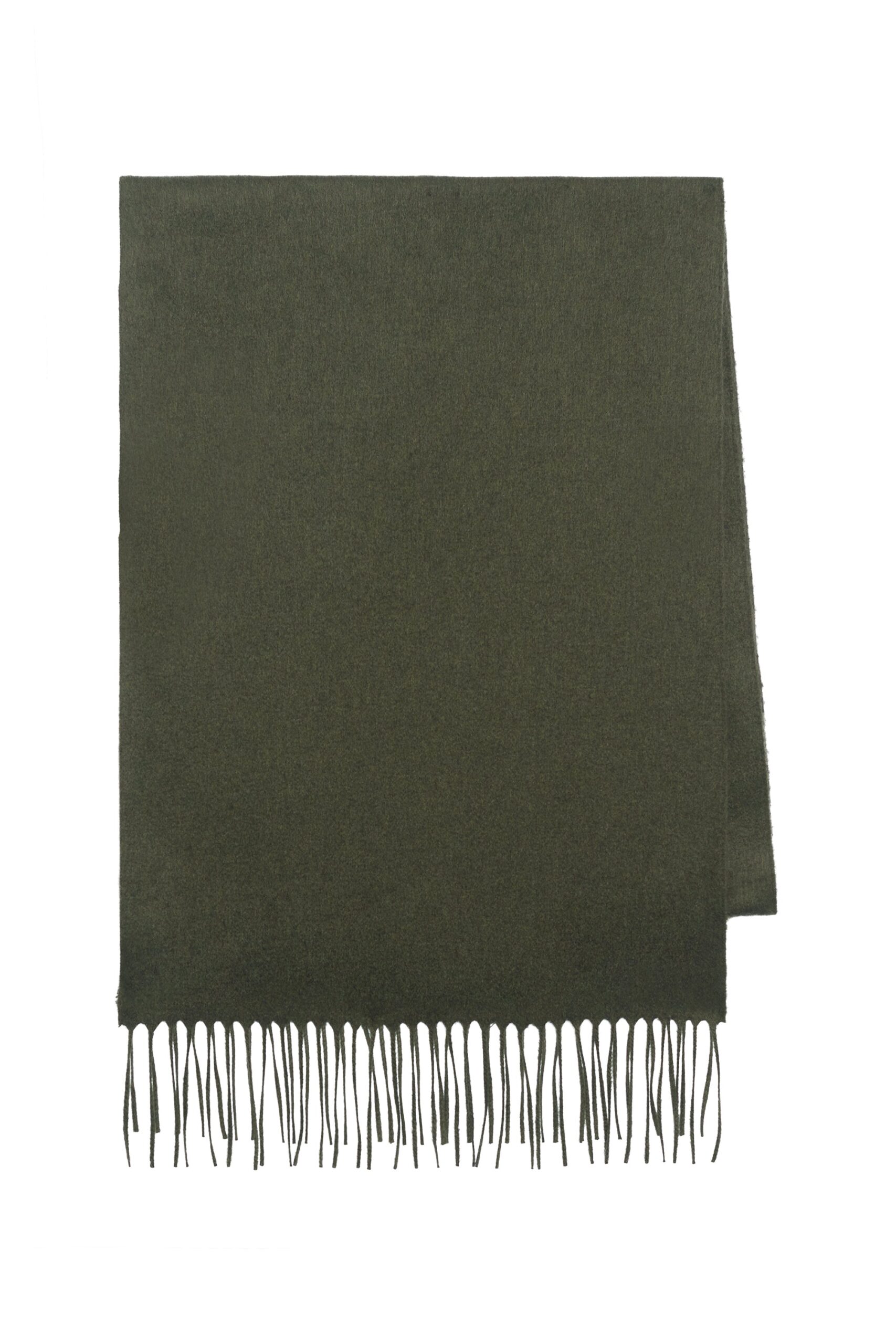 Gabriela Hearst Blaine Fringe Scarf in Deep Olive Brushed Silk Cashmere gabriela hearst scarf