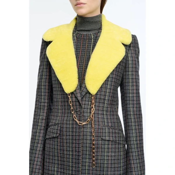 designer collar