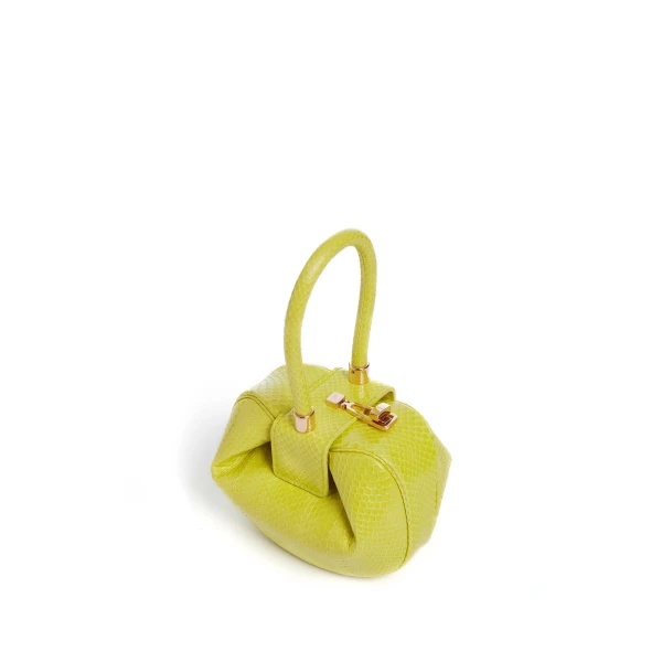 designer bag