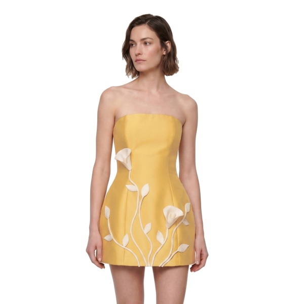 JW PEI 3D Vine Floral Strapless Mini Dress