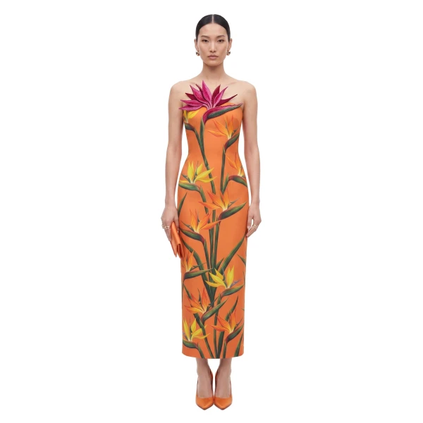 JW PEI Bird of Paradise Appliqué Strapless Column Midi Dress