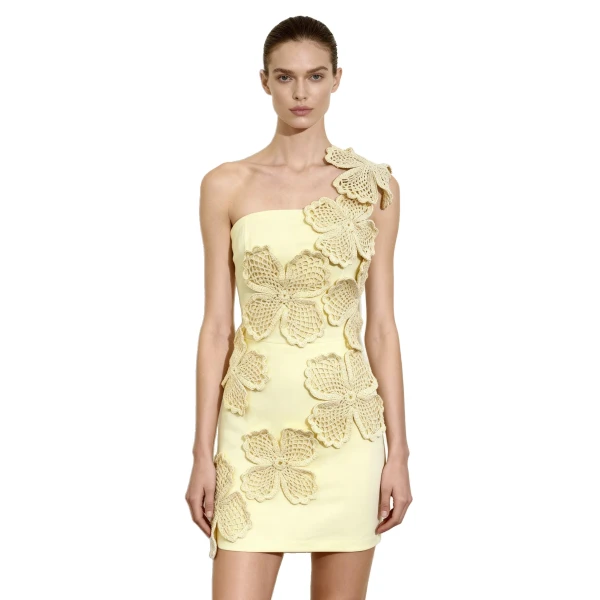 JW PEI Crochet Floral Appliqué Mini Dress