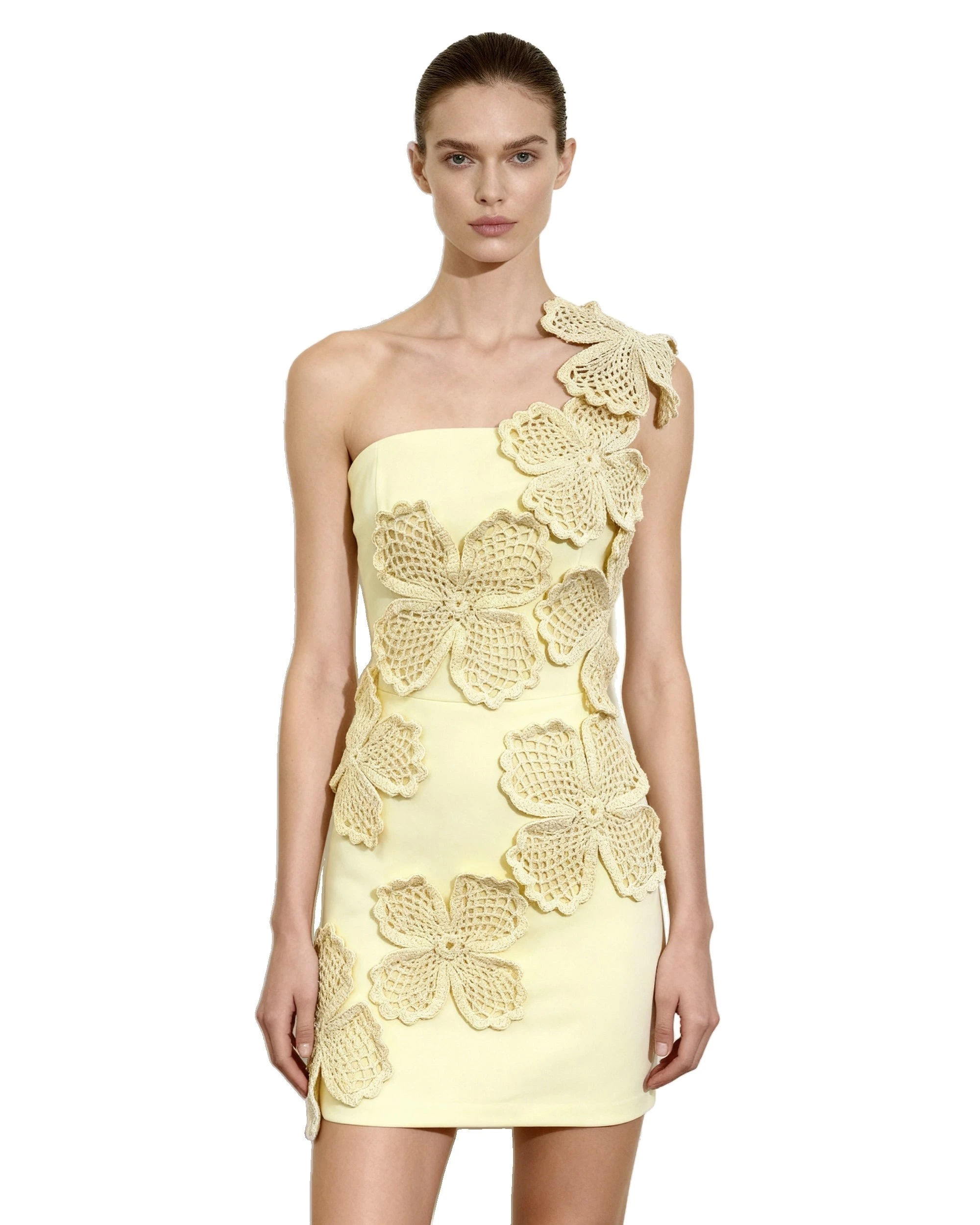 JW PEI mini dress | Los Angeles Vegan Fashion Dresses | Luxury Shoes JW PEI Crochet Floral Appliqué Mini Dress