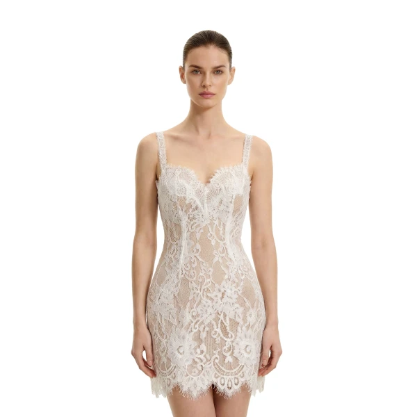 JW PEI Eyelash Lace Bustier Bodycon Dress