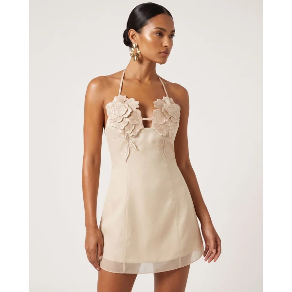 JW PEI Dresses