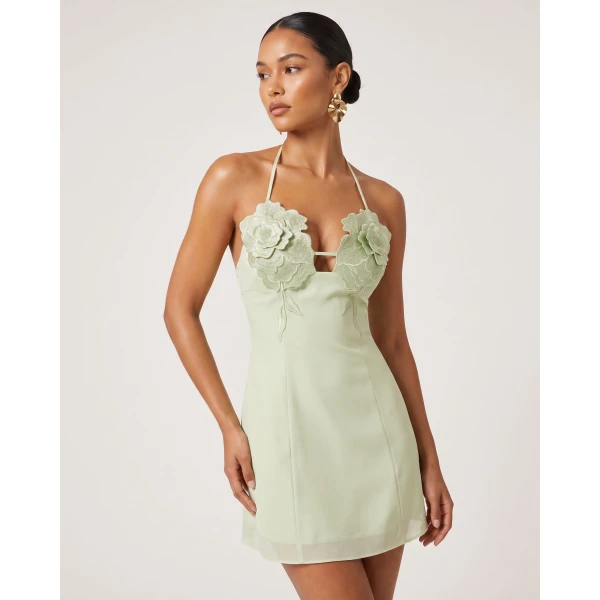 JW PEI Dresses