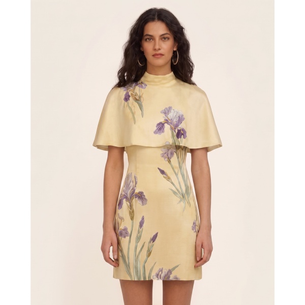 JW PEI Iris Print Cape Overlay Mini Dress