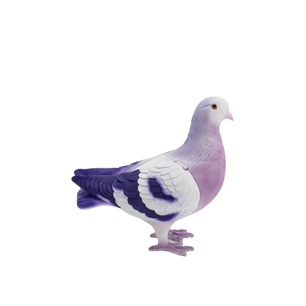 JW PEI Kallie Pigeon Clutch Bag in Purple