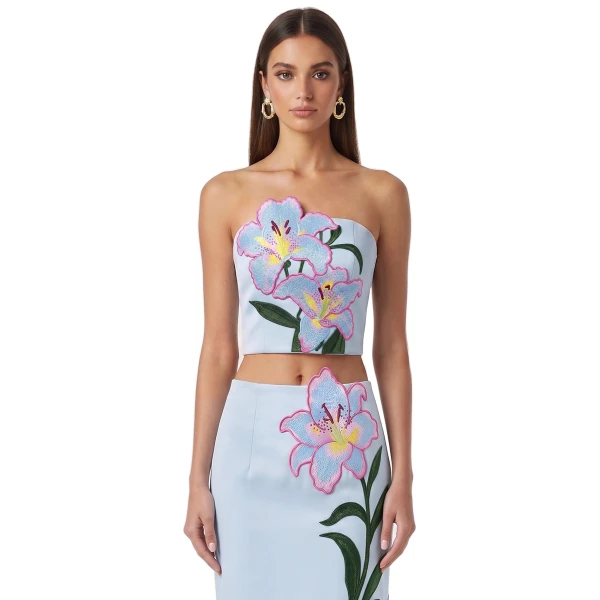 JW PEI Blue corset top