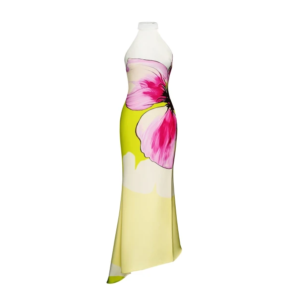 JW PEI Multicolour gown