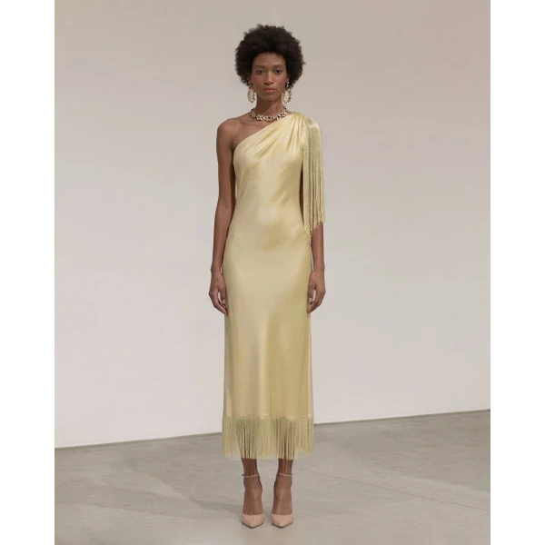 JW PEI One Shoulder Fringe Midi Dress