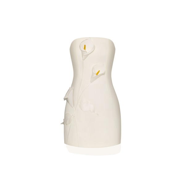 JW PEI Strapless Floral Appliqué Dress