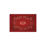Johanna Ortiz Nature's Whisper Shawl