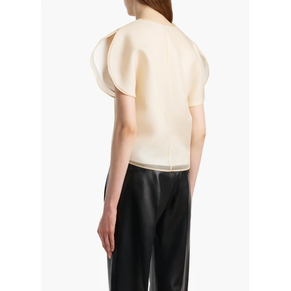 Briar Top in Champagne - Image 4