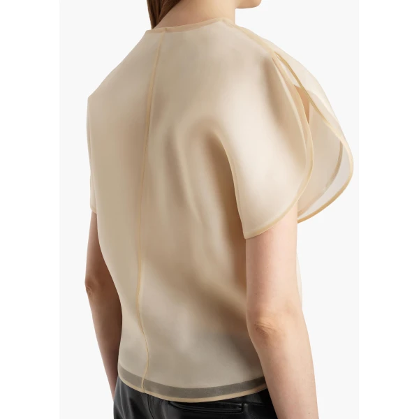 Briar Top in Champagne - Image 6