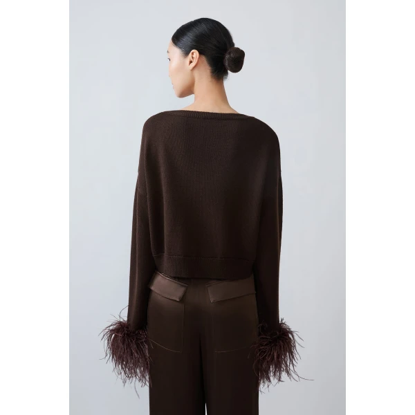 merino cropped v-neck sweater with classic feathers