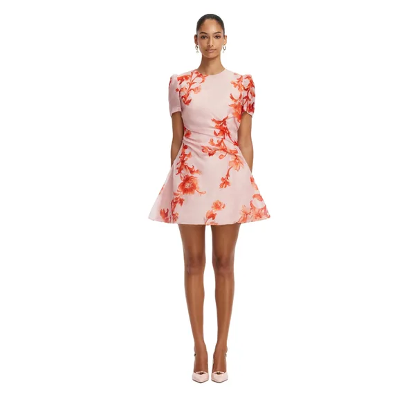Elyse Short Sleeve Mini Dress