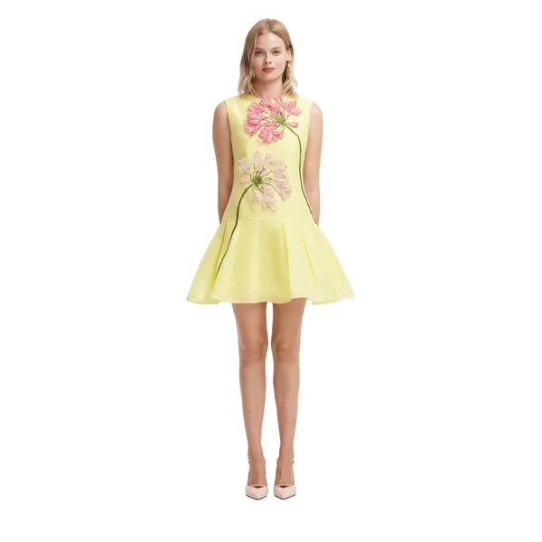Petra Appliqué Mini Dress