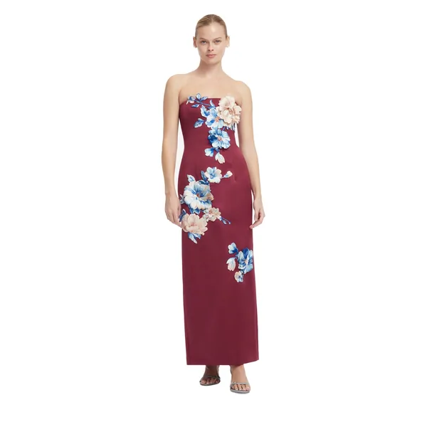 Cosmos Print